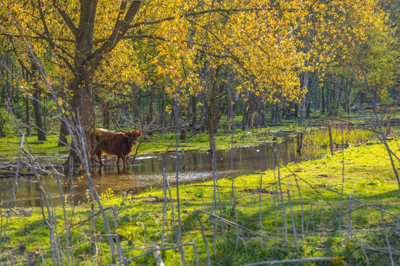 Europarcs Spaarnwoude Halfweg Exteriör bild